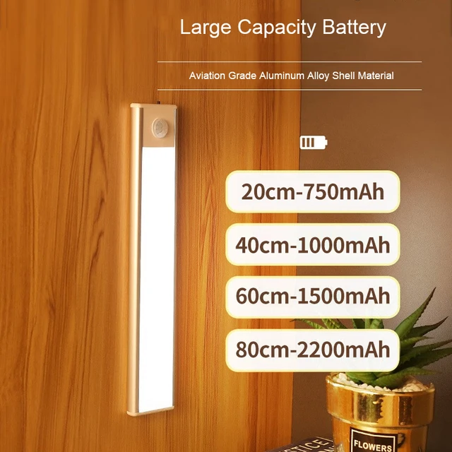 LED Motion House Lights (Upgraded)