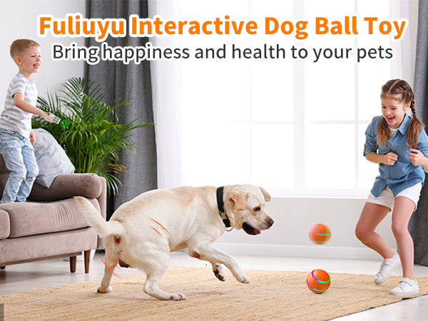 Netflip™ Smart pet ball 🐶