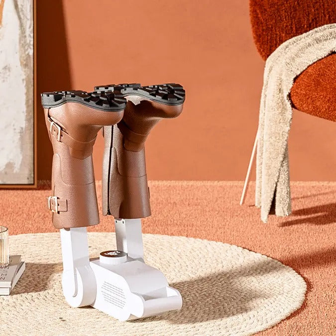 Electric Shoes Sanitizer