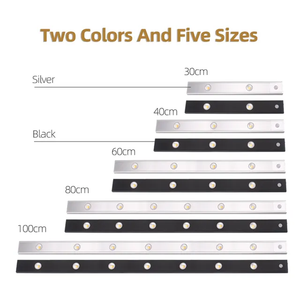 LED Motion House Lights (Upgraded)