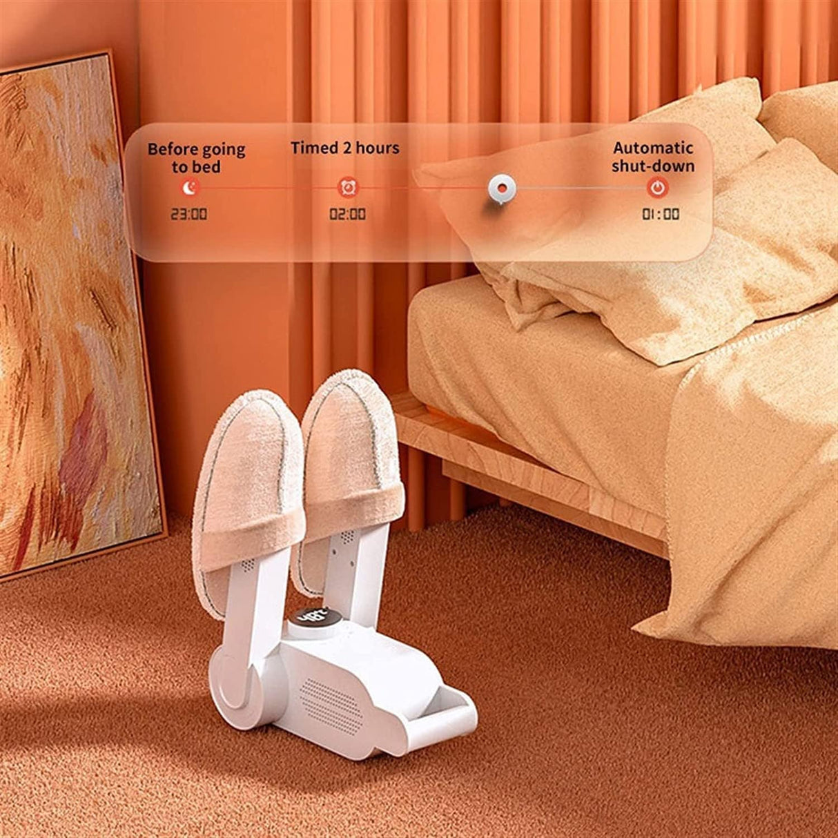 Electric Shoe Dryer