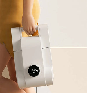 Electric Shoe Dryer