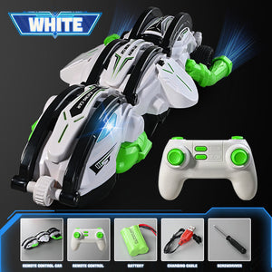 RC Rolling Snake Car